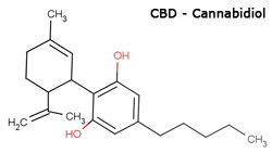 cbd-cannabidiol for anxiety
